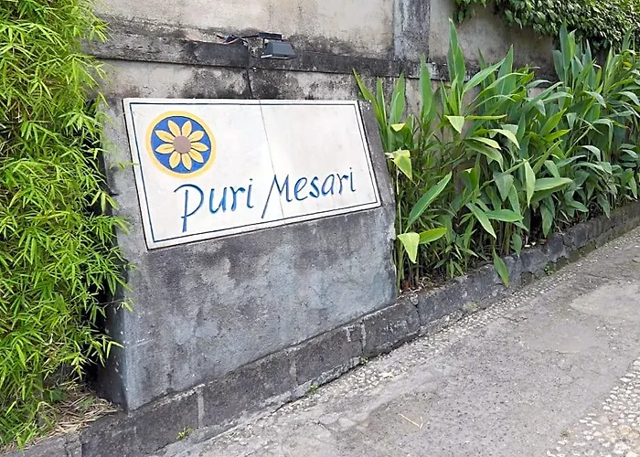 Puri Mesari 3*