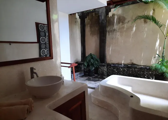 Puri Mesari Hotel 3*